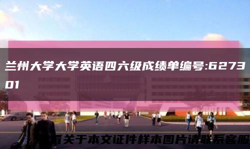 兰州大学大学英语四六级成绩单编号:627301缩略图