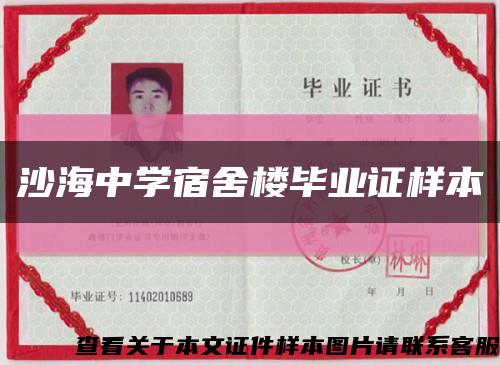 沙海中学宿舍楼毕业证样本缩略图