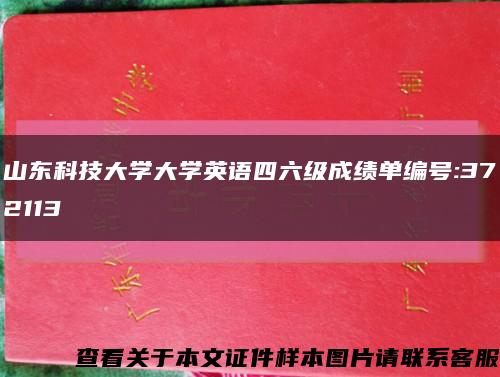 山东科技大学大学英语四六级成绩单编号:372113缩略图