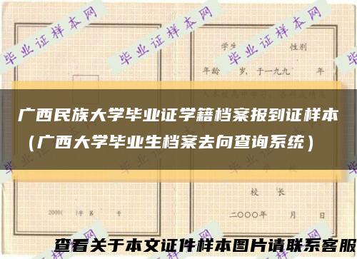 广西民族大学毕业证学籍档案报到证样本（广西大学毕业生档案去向查询系统）缩略图