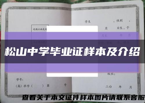松山中学毕业证样本及介绍缩略图