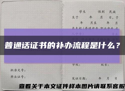 普通话证书的补办流程是什么？缩略图