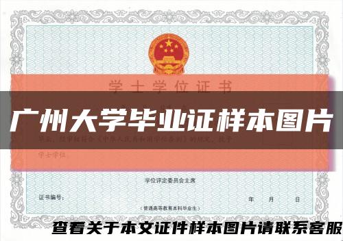 广州大学毕业证样本图片缩略图