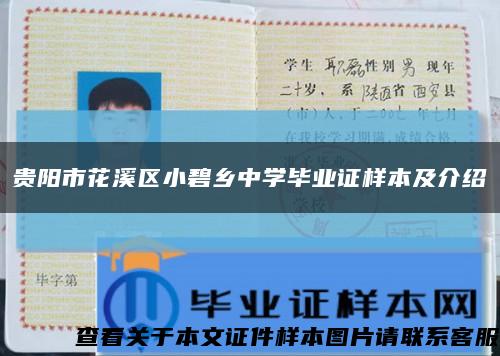贵阳市花溪区小碧乡中学毕业证样本及介绍缩略图