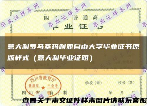 意大利罗马圣玛利亚自由大学毕业证书原版样式（意大利毕业证明）缩略图