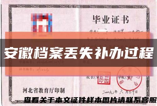 安徽档案丢失补办过程缩略图