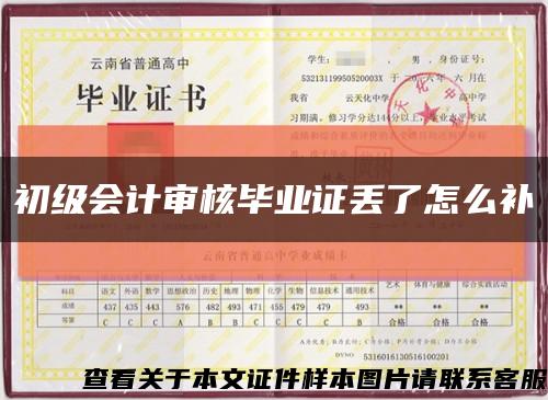 初级会计审核毕业证丢了怎么补缩略图