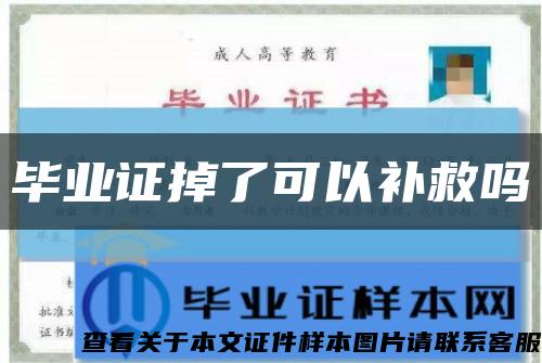 毕业证掉了可以补救吗缩略图