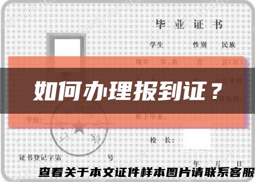 如何办理报到证？缩略图
