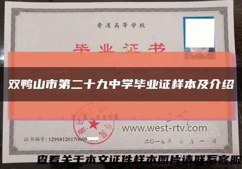 双鸭山市第二十九中学毕业证样本及介绍缩略图