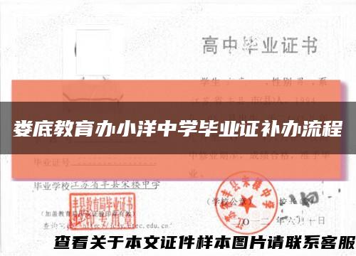 娄底教育办小洋中学毕业证补办流程缩略图