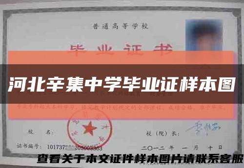 河北辛集中学毕业证样本图缩略图