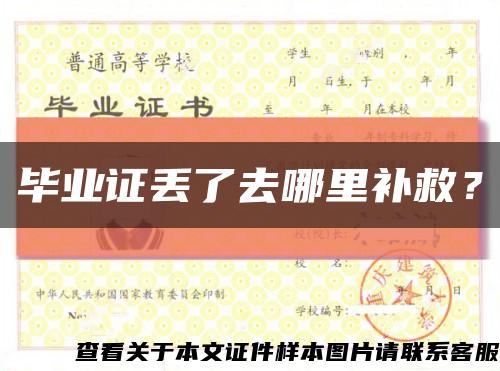 毕业证丢了去哪里补救？缩略图