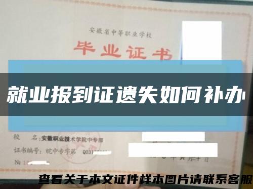 就业报到证遗失如何补办缩略图