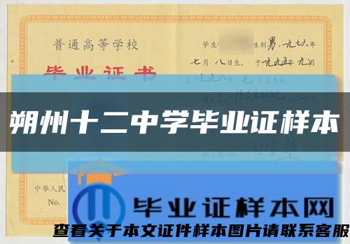 朔州十二中学毕业证样本缩略图