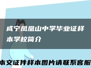 咸宁凤凰山中学毕业证样本学校简介缩略图
