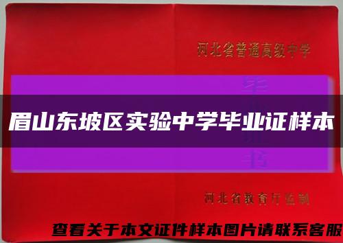 眉山东坡区实验中学毕业证样本缩略图