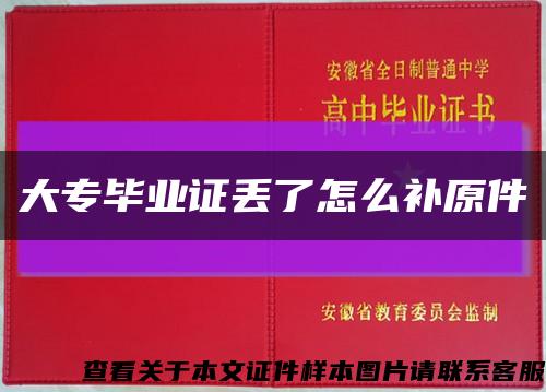 大专毕业证丢了怎么补原件缩略图