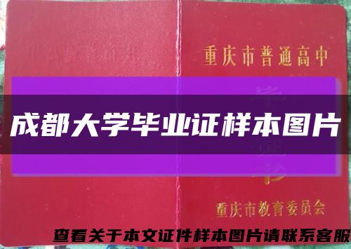 成都大学毕业证样本图片缩略图