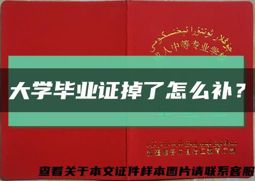 大学毕业证掉了怎么补？缩略图