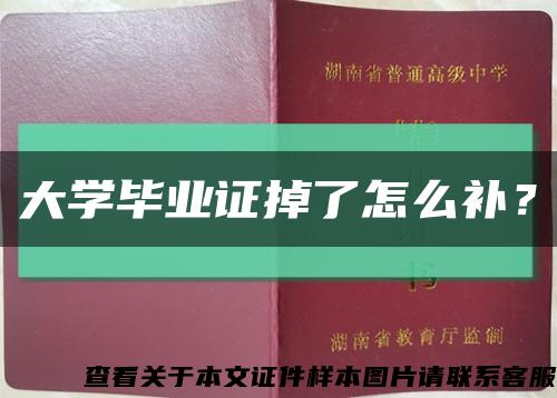 大学毕业证掉了怎么补？缩略图