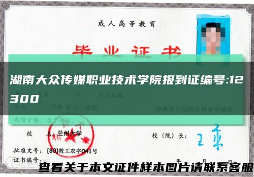湖南大众传媒职业技术学院报到证编号:12300缩略图