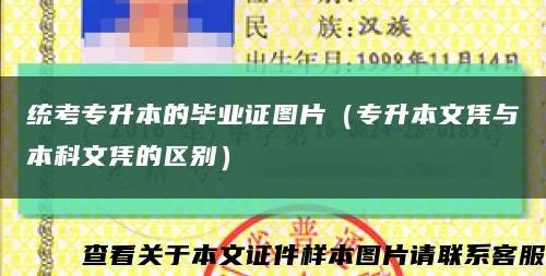 统考专升本的毕业证图片（专升本文凭与本科文凭的区别）缩略图