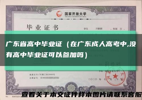 广东省高中毕业证（在广东成人高考中,没有高中毕业证可以参加吗）缩略图