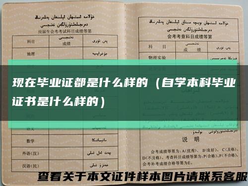 现在毕业证都是什么样的（自学本科毕业证书是什么样的）缩略图