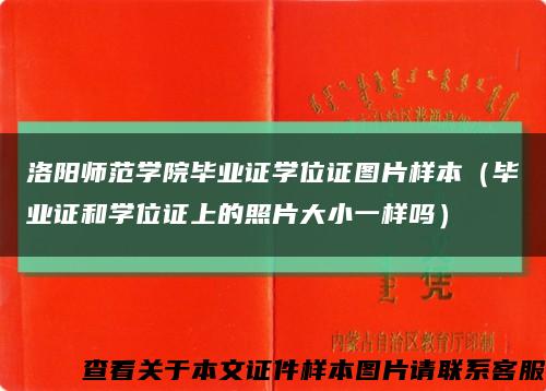 洛阳师范学院毕业证学位证图片样本（毕业证和学位证上的照片大小一样吗）缩略图