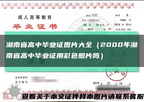 湖南省高中毕业证图片大全（2000年湖南省高中毕业证用彩色照片吗）缩略图