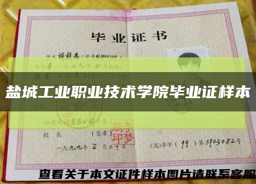 盐城工业职业技术学院毕业证样本缩略图