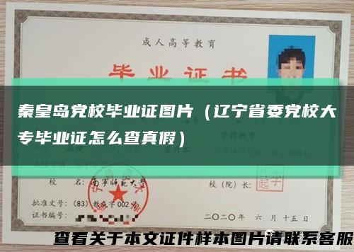 秦皇岛党校毕业证图片（辽宁省委党校大专毕业证怎么查真假）缩略图