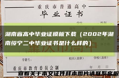 湖南省高中毕业证模板下载（2002年湖南绥宁二中毕业证书是什么样的）缩略图