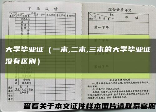 大学毕业证（一本,二本,三本的大学毕业证没有区别）缩略图