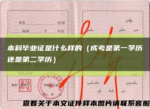 本科毕业证是什么样的（成考是第一学历还是第二学历）缩略图
