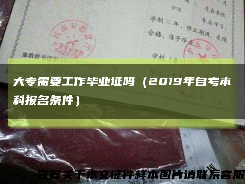 大专需要工作毕业证吗（2019年自考本科报名条件）缩略图