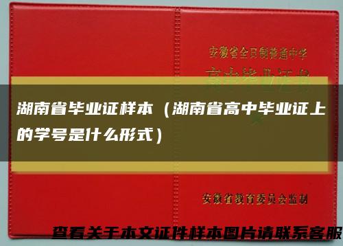 湖南省毕业证样本（湖南省高中毕业证上的学号是什么形式）缩略图