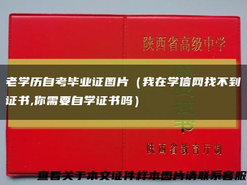 老学历自考毕业证图片（我在学信网找不到证书,你需要自学证书吗）缩略图
