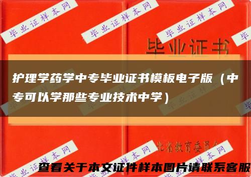 护理学药学中专毕业证书模板电子版（中专可以学那些专业技术中学）缩略图