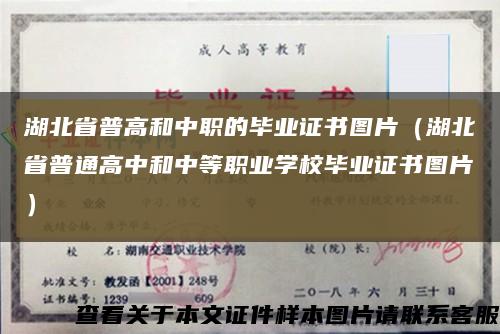 湖北省普高和中职的毕业证书图片（湖北省普通高中和中等职业学校毕业证书图片）缩略图