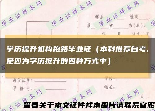 学历提升机构跑路毕业证（本科推荐自考,是因为学历提升的四种方式中）缩略图