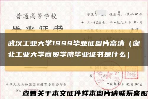 武汉工业大学1999毕业证图片高清（湖北工业大学商贸学院毕业证书是什么）缩略图