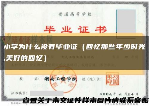小学为什么没有毕业证（回忆那些年少时光,美好的回忆）缩略图