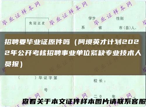 招聘要毕业证原件吗（阿坝英才计划2022年公开考核招聘事业单位紧缺专业技术人员报）缩略图