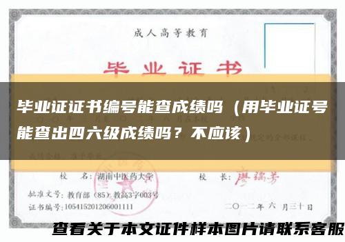 毕业证证书编号能查成绩吗（用毕业证号能查出四六级成绩吗？不应该）缩略图