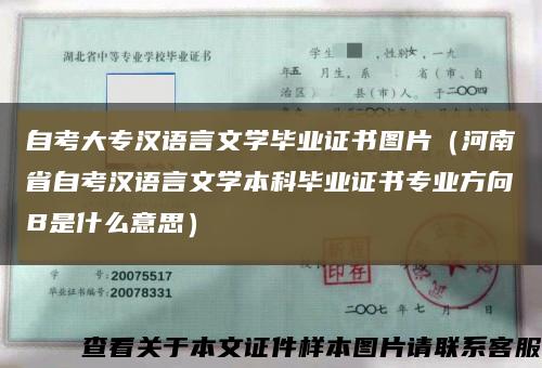 自考大专汉语言文学毕业证书图片（河南省自考汉语言文学本科毕业证书专业方向B是什么意思）缩略图
