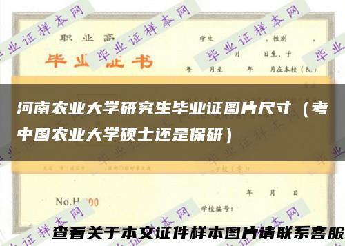 河南农业大学研究生毕业证图片尺寸（考中国农业大学硕士还是保研）缩略图