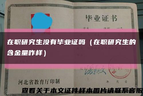 在职研究生没有毕业证吗（在职研究生的含金量咋样）缩略图