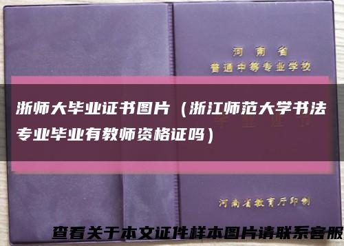 浙师大毕业证书图片（浙江师范大学书法专业毕业有教师资格证吗）缩略图